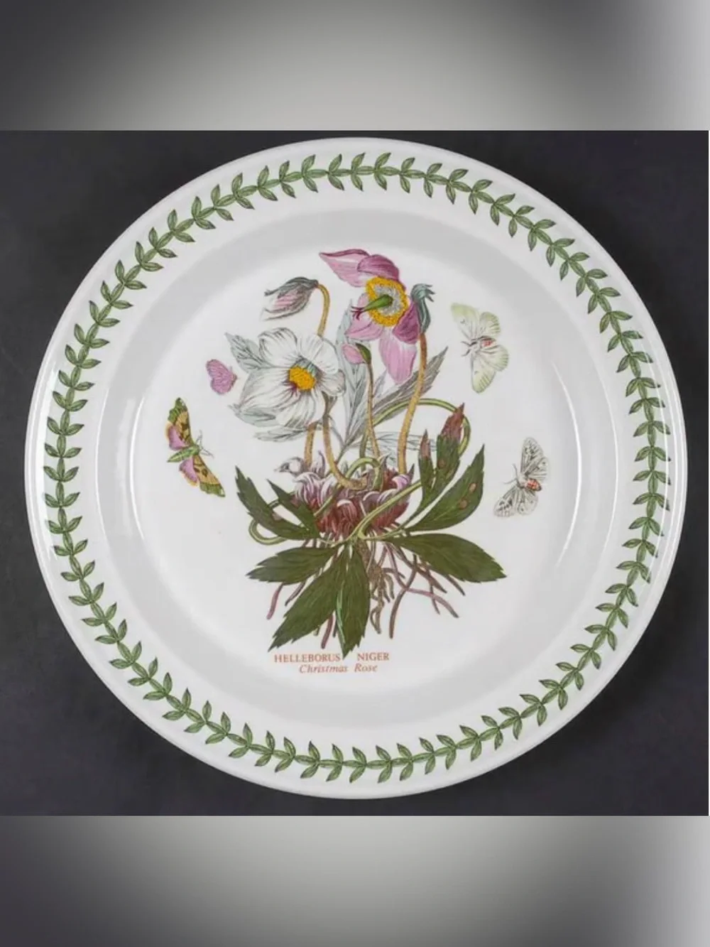 Like new Portmeirion Botanic Garden Pie Plate Christmas Rose